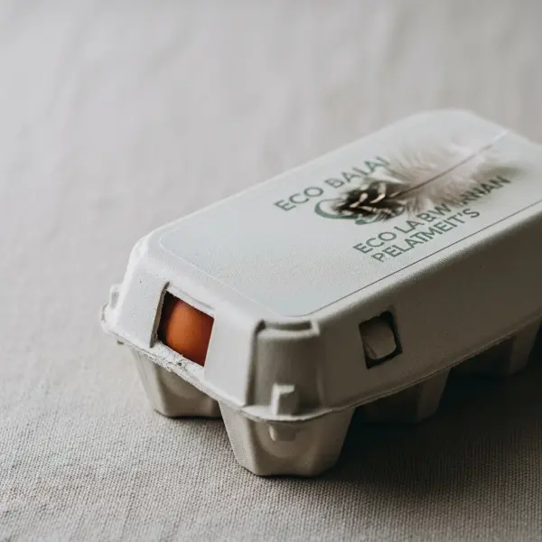 Free-Range Organic Eggs (12)