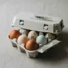 Free-Range Organic Eggs (12)