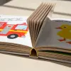 Picture Book Bundle (Ages 2-5)