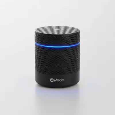Nebula Portable Smart Speaker