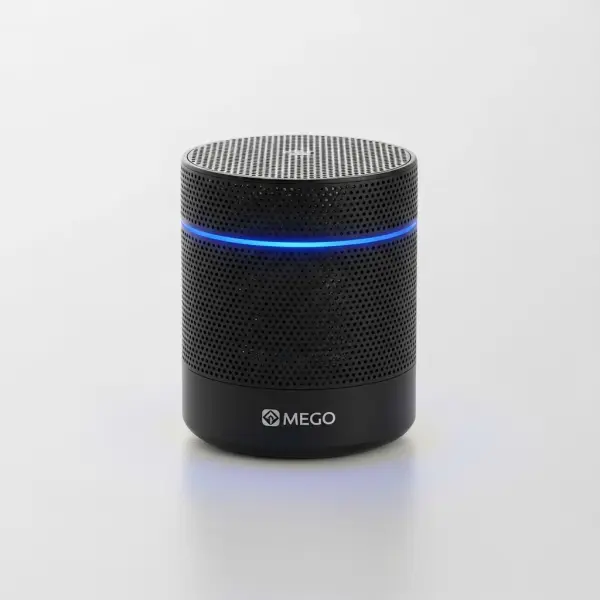 Nebula Portable Smart Speaker