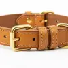 Premium Leather Dog Collar