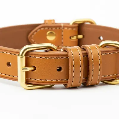 Premium Leather Dog Collar