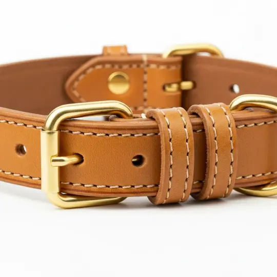 Premium Leather Dog Collar