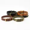 Premium Leather Dog Collar
