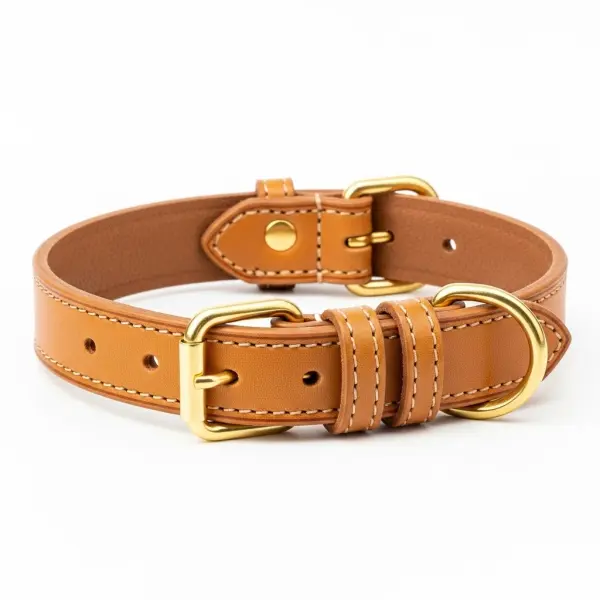 Premium Leather Dog Collar