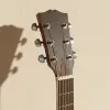 Aurora Acoustic Guitar