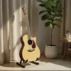 Aurora Acoustic Guitar