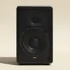 StageLink Live PA Speaker