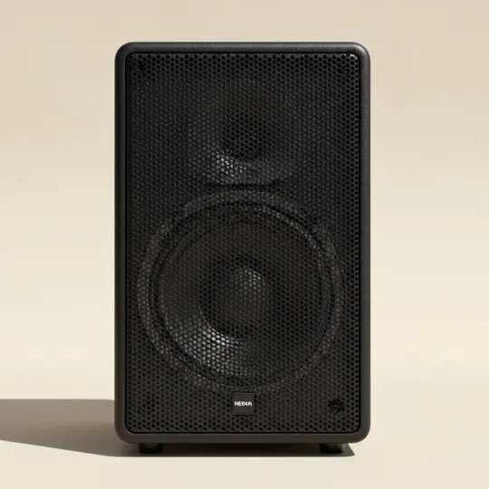 StageLink Live PA Speaker