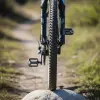Mountain Bike Tire