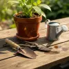 Container Gardening Guide